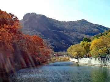 新澳天天彩免费资料大全查询，快餐桌图片